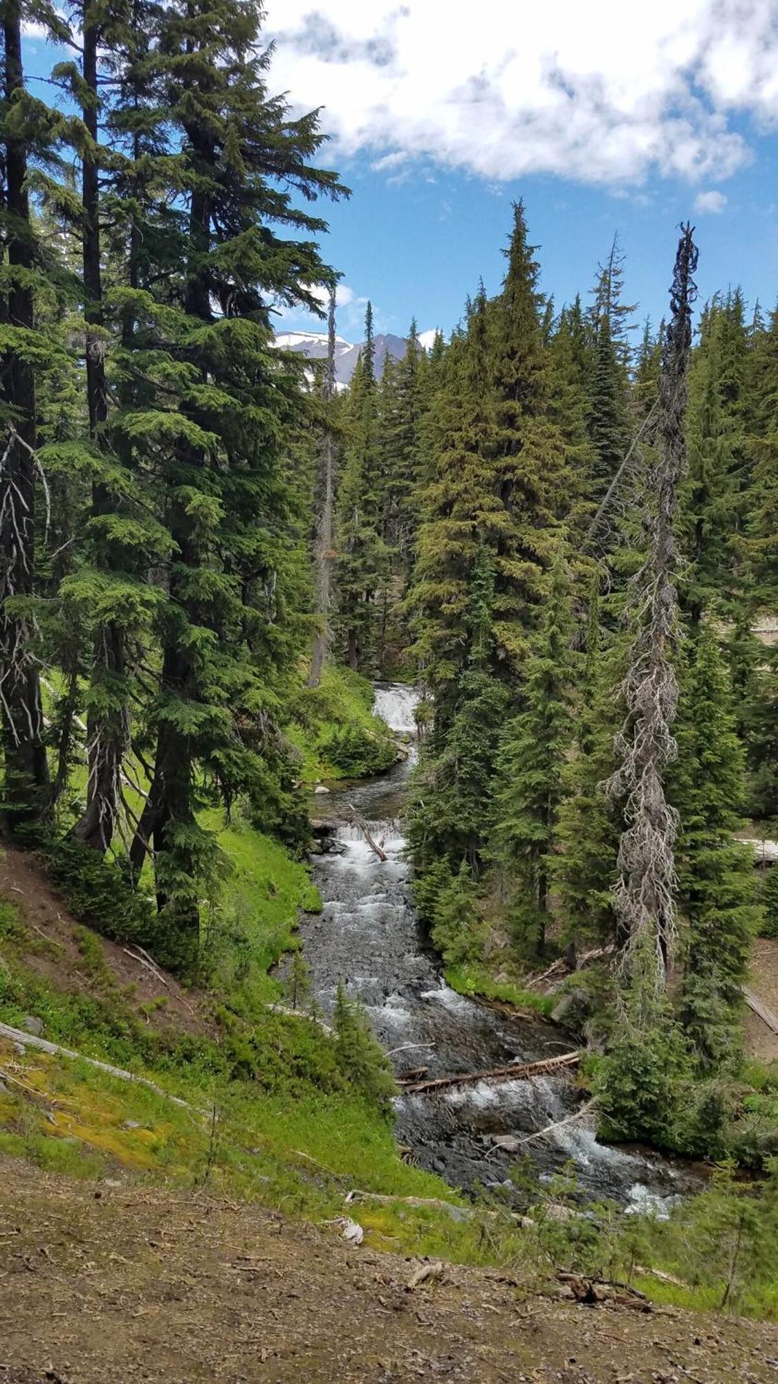 בנד Mt. Bachelor & Sun River Get Away מראה חיצוני תמונה